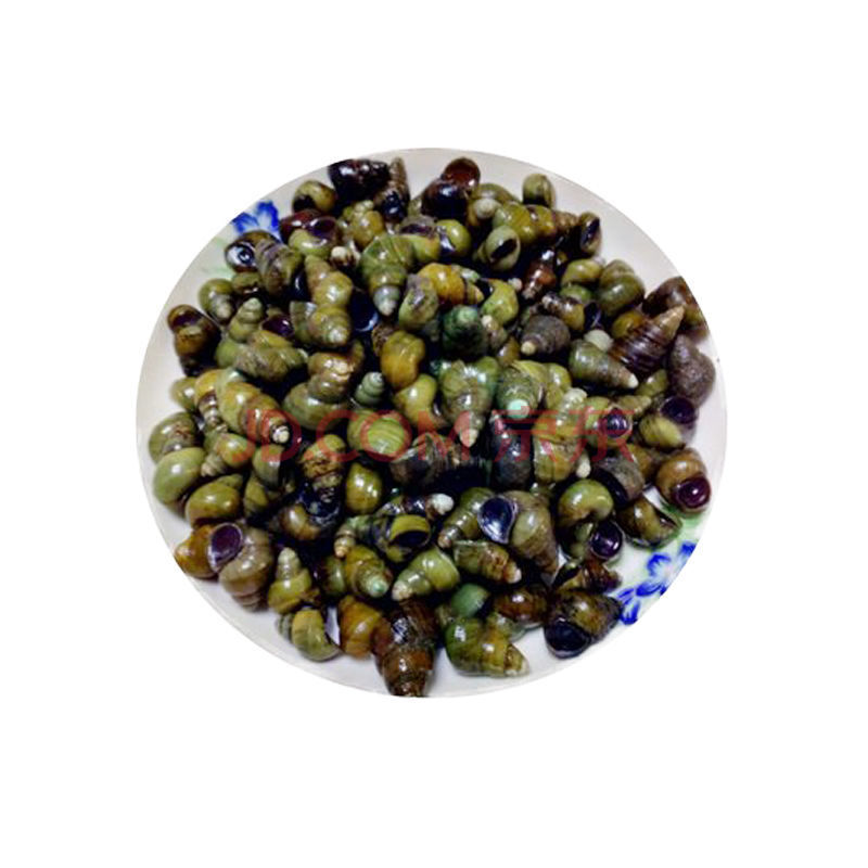 铭心 新鲜田螺微山湖野生清水螺蛳石螺人工挑选精品无泥无沙螺丝批发