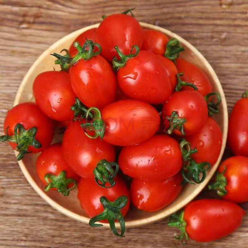 现摘山东小番茄圣女果千禧樱桃小柿子新鲜水果蔬菜农家自种西红柿 2斤