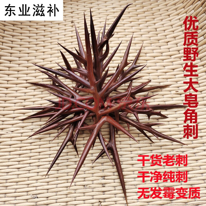 杞里香 新鲜野外生大皂角刺皂荚刺天丁皂刺粉皂角针中药原材草药500g