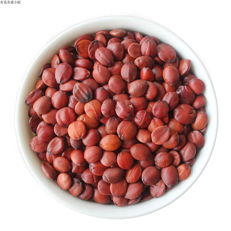 酸枣种子野枣种子枣树种子小酸枣种子山枣种子酸枣树种籽酸枣野生