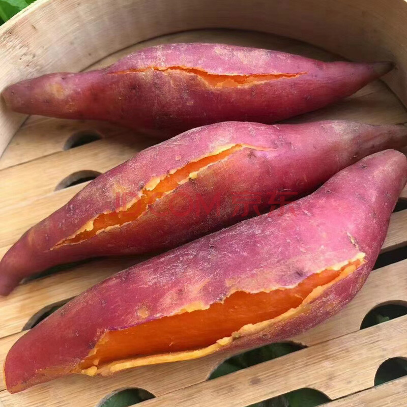 福建六鳌蜜薯5斤装 新鲜现挖漳州红心地瓜 沙地红薯沙地番薯1斤试吃 5