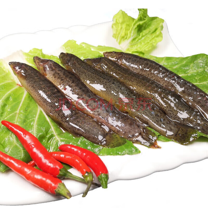 泥鳅 现杀农家泥鳅 现捕泥鳅 新鲜现杀淡水产 富铭士 6斤