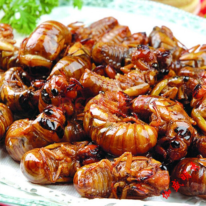 2020年新鲜知了猴金蝉即食油炸知了龟爬叉蝉蛹非蚕蛹徐州特产小吃