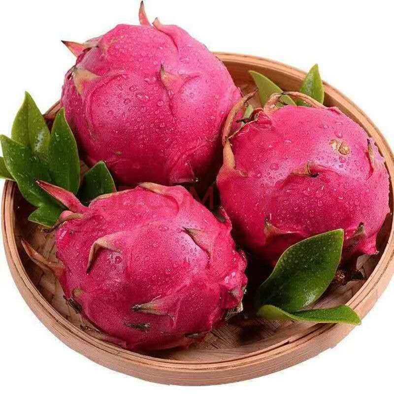 【严选】金都一号蜜宝红心火龙果红肉 新鲜应季热带水果 批发整箱2/3