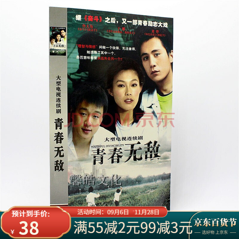 电视剧 青春无敌 经济版4dvd 佟大为 于娜