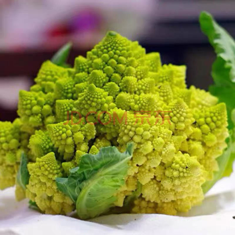 山东新鲜蔬菜宝塔菜花花椰菜翠绿塔花新鲜蔬菜 绿宝塔二斤半左右