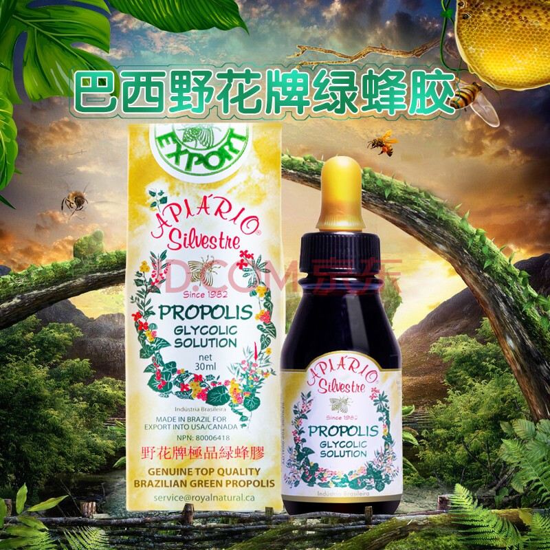 加拿大野花牌巴西绿蜂胶滴剂滴液30ml 加版原装高浓度
