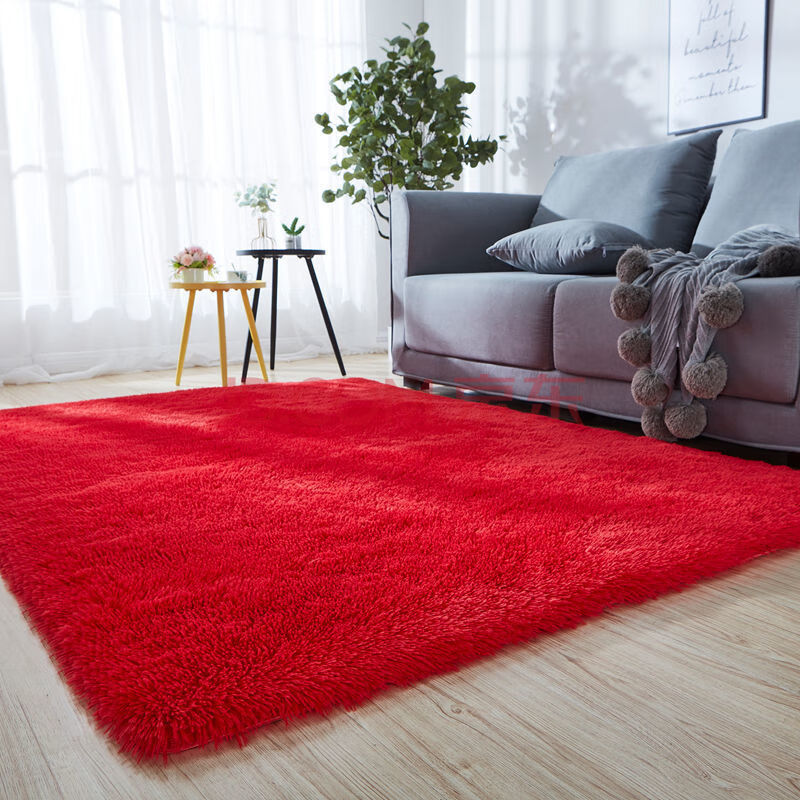 可水洗公主地毯卧室床边毯客厅茶几满铺家用大面积可定制 长毛大红色