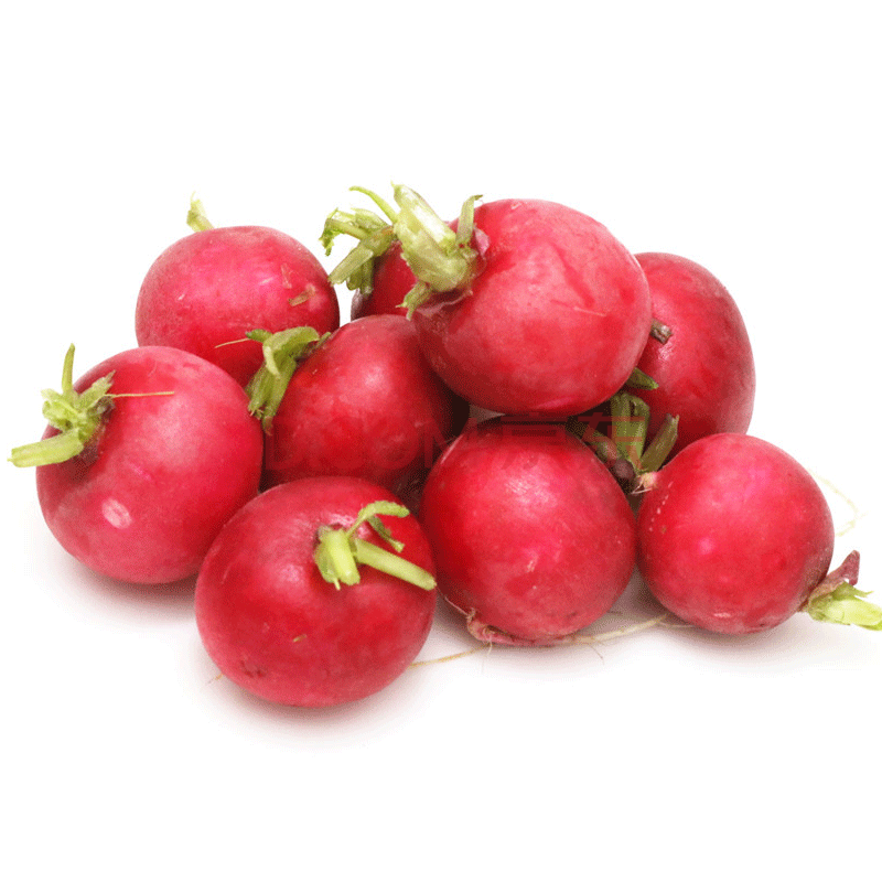 辽宁特产新鲜樱桃萝卜 迷你红皮小红圆萝卜 5斤