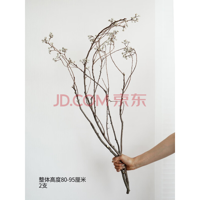 RSRDDY山归来天然植物干花花束客厅摆设侘寂风插花干树枝装饰摆件干枝 小白果特长支2支造型随机80-100c【图片 价格 品牌 报价】-京东