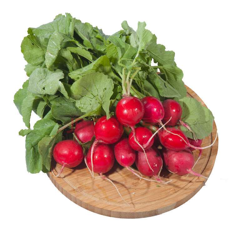密云扶贫馆 樱桃萝卜 水萝卜 新鲜蔬菜 约500g