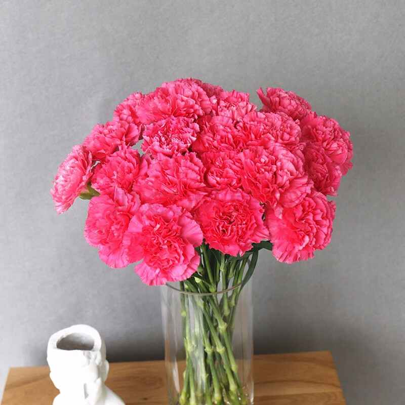 郁色鲜花 桃红色康乃馨鲜花送妈妈礼物 家庭插花 母亲节礼物