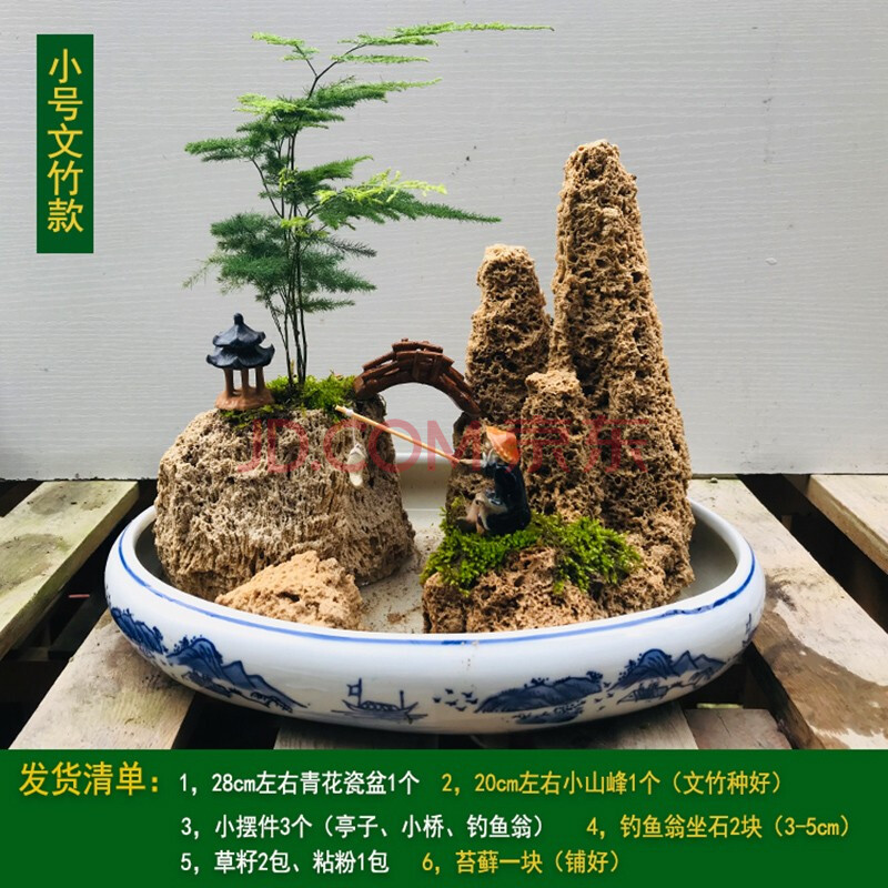 上水石吸水石原石假山文竹菖蒲桌面摆件创意微景观山水盆景 小号文竹