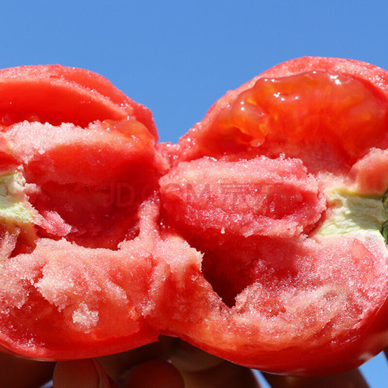 沙瓤番茄普罗旺斯西红柿士新鲜水果生吃孕妇当季自然熟 5斤装 普通装