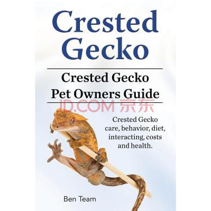 crested gecko. crested gecko pet owners gu.
