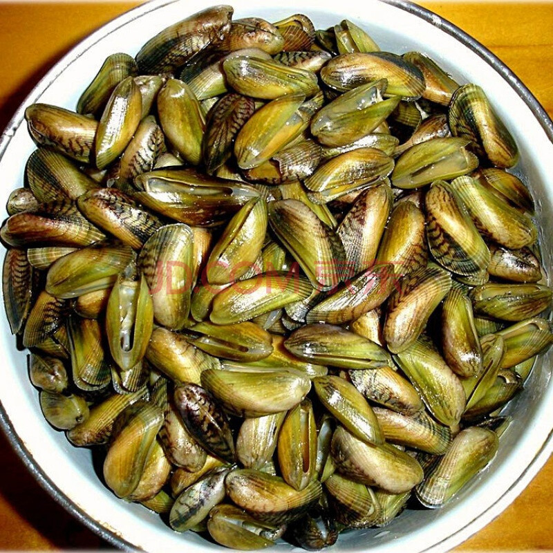 流连湾潮汕海瓜子薄壳米新鲜鲜活海鲜水产当天海捕贝类特产红肉广东