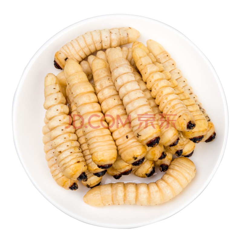 海味先生 特产美食 竹节虫 竹虫 1000g 袋装 柴木虫蛤虫500g