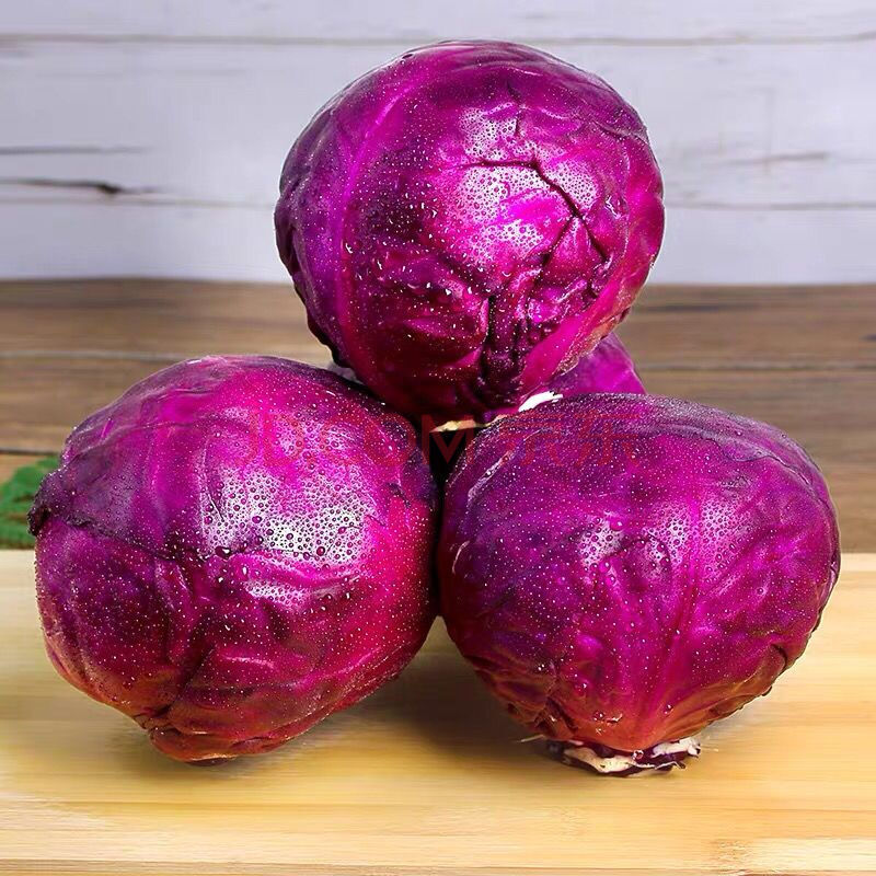 新鲜紫甘蓝5斤 新鲜蔬菜 紫包菜球紫色红椰菜西餐生菜沙拉食材 5斤