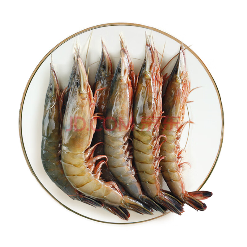 鲜尝态 冷冻金钩虾净重480g/盒 新鲜当季海捕滑皮虾剑虾硬壳虾 可剥