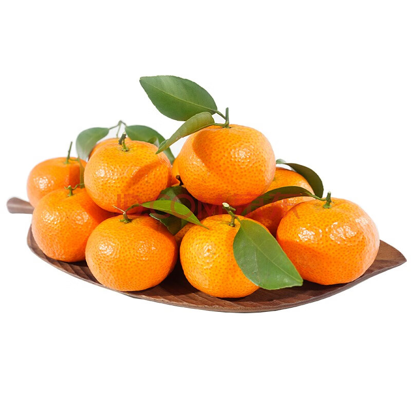 【顺丰】广东四会砂糖橘 新鲜沙糖橘 小橘桔子蜜桔 2.5kg(中大果)