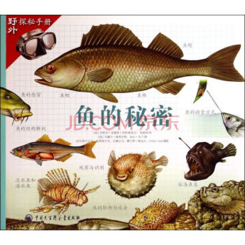 正版现货 鱼的秘密/野外探秘手册