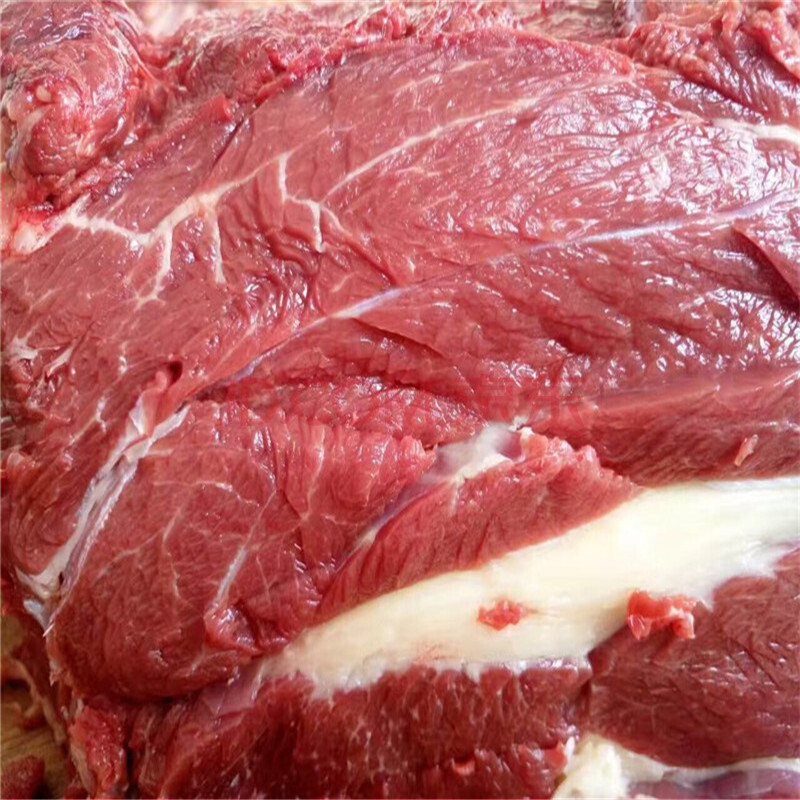 马肉 新鲜马肉 散养现杀生马肉 带皮 不带皮马肉 可开发票 2.5kg