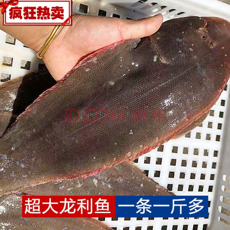 超大特大龍利魚片魚柳整隻巴沙魚海鮮水產無刺 一條一斤以上 一斤裝