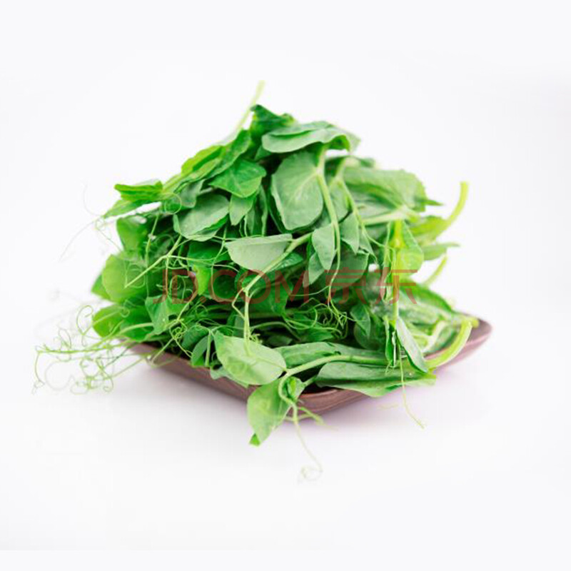 新鲜豌豆尖1500g 高山豆苗 豌豆尖 农家自种豌豆