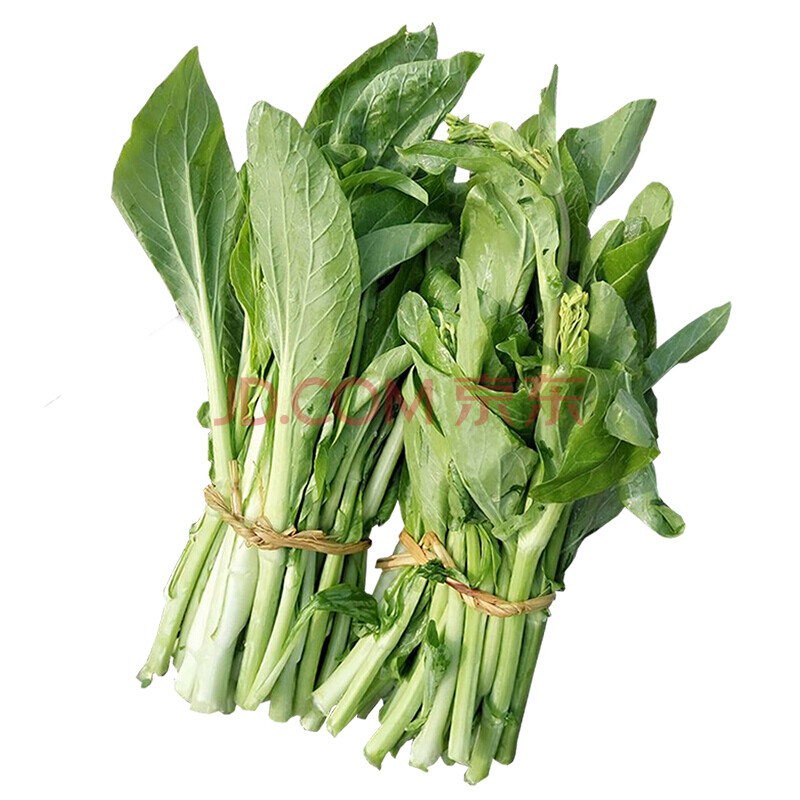 现货 湖北农家自种新鲜菜薹绿菜苔青菜菜芯白菜苔 2kg 生鲜