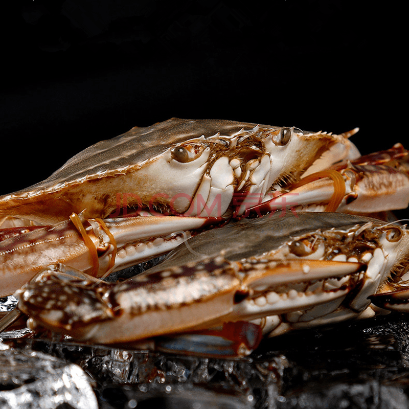 海头海洲湾 梭子蟹8斤装冷冻中小号海螃蟹自助食材海鲜水产 迷你公蟹