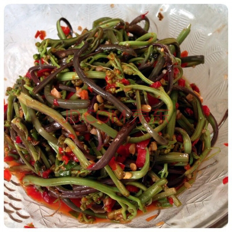 即食凉拌蕨菜新鲜腌制下饭菜湖南特产泡菜野生龙爪菜腌酱菜480克