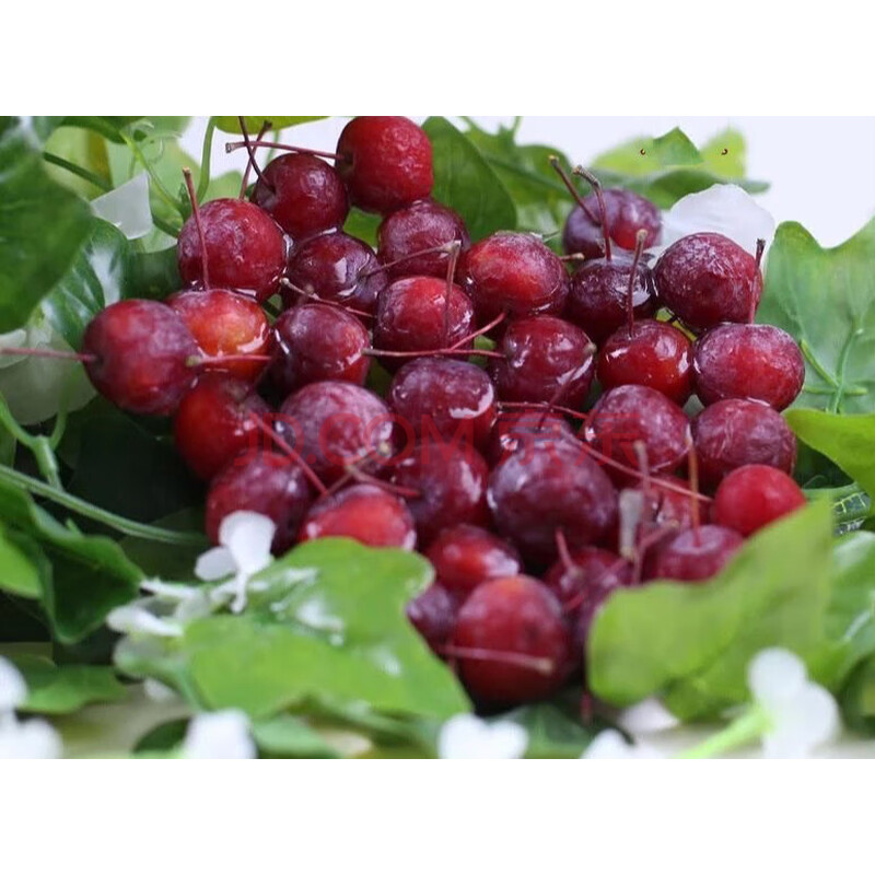 新鲜冻海棠果东北冻花红果冻海红果小苹果小沙果孕妇酸甜水果 5斤