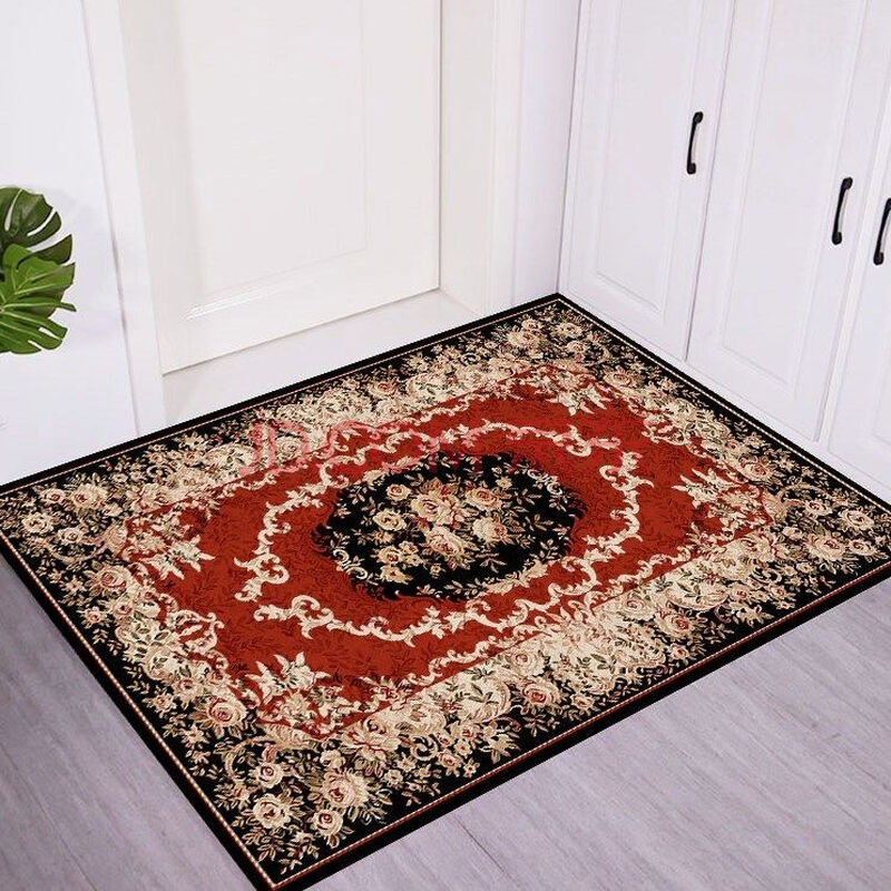 地毯进门口入户家用客厅地毯卧室茶几房间防滑卫生间 md-01 40*60厘米