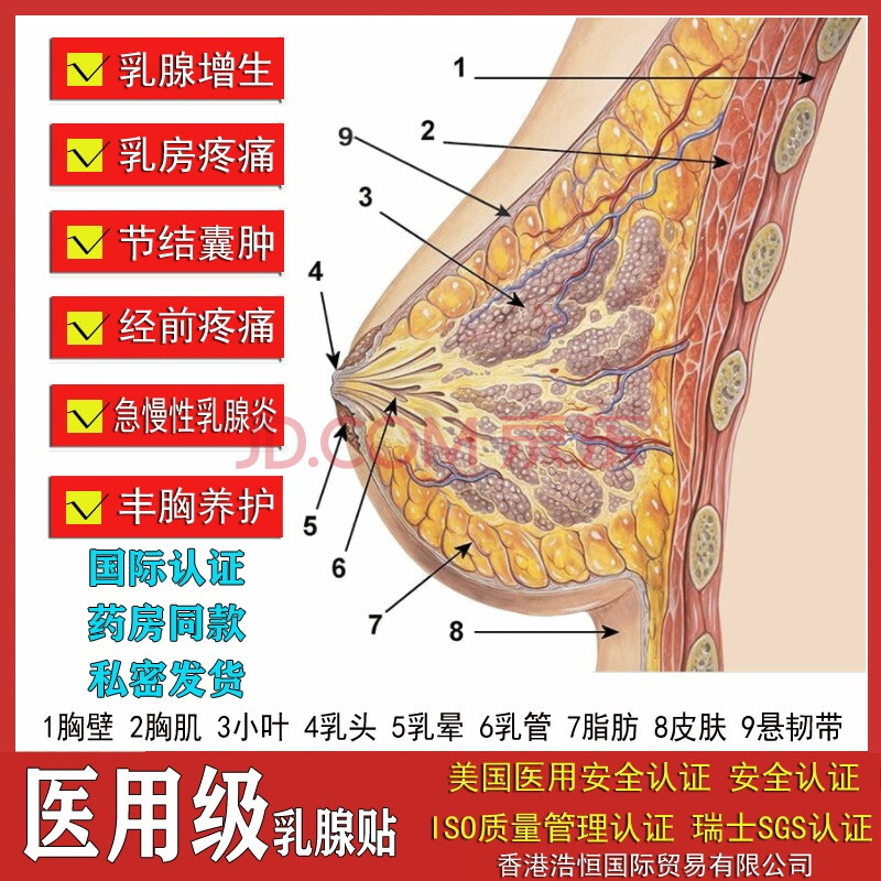 恒后乳腺增生贴乳腺炎散结疏通乳房小叶肿块纤维瘤结节硬块囊肿药