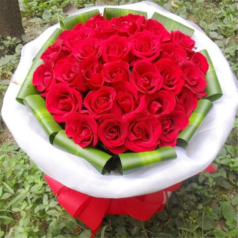 花行天下 33朵红玫瑰 鲜花【图片 价格 品牌 报价】-京东