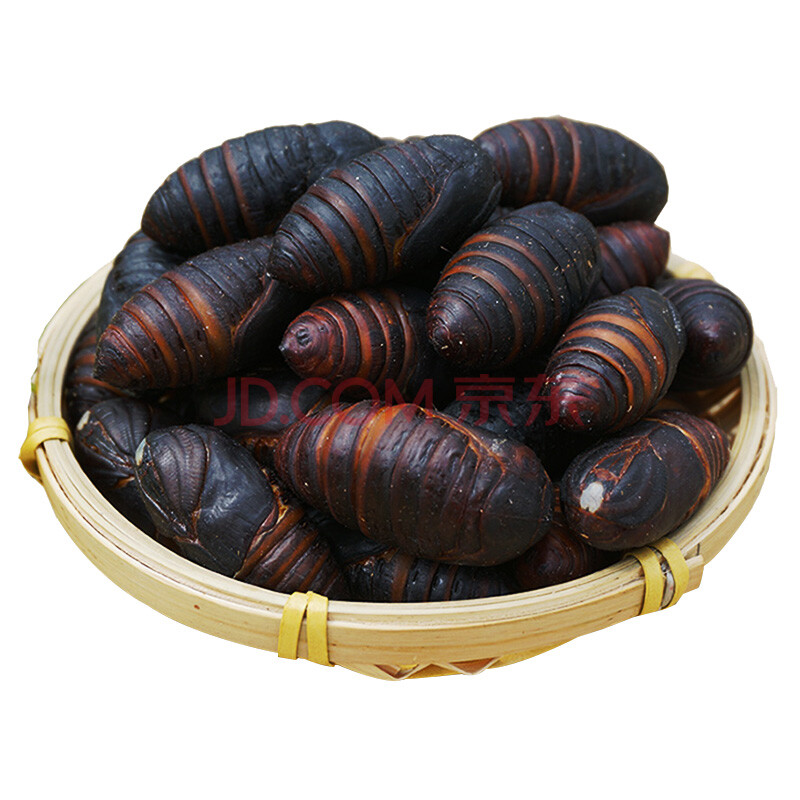 顺丰配送 东北鲜活茧蛹 大个黑蛹柞蚕大黑死了包赔 500g单只3-4cm