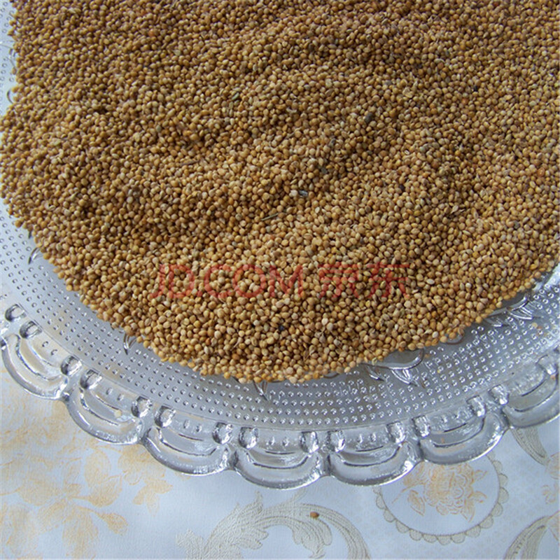 家居盆栽阳台种子观果植物 蔬菜种子观赏谷子种子 20粒