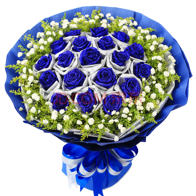 红玫瑰花束 生日鲜花速递玫瑰鲜花礼盒 北京全国花店送花 19朵蓝玫瑰