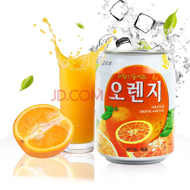 十三五重点项目-果肉果汁饮料项目资金申请报告