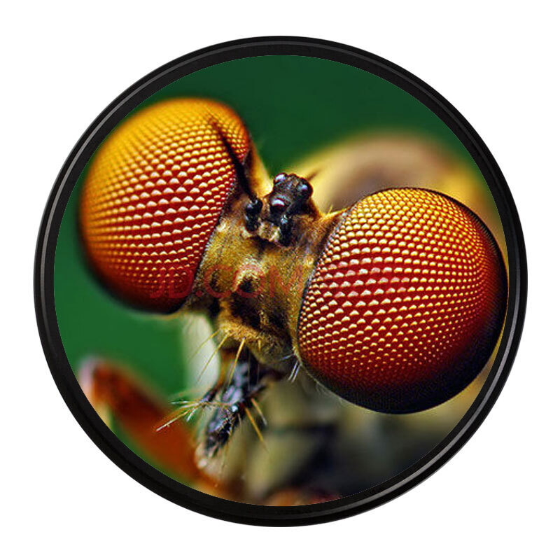 卓美(zomei)近摄镜 微距镜 放大镜 滤镜 放大成像效果佳 单反配件  2