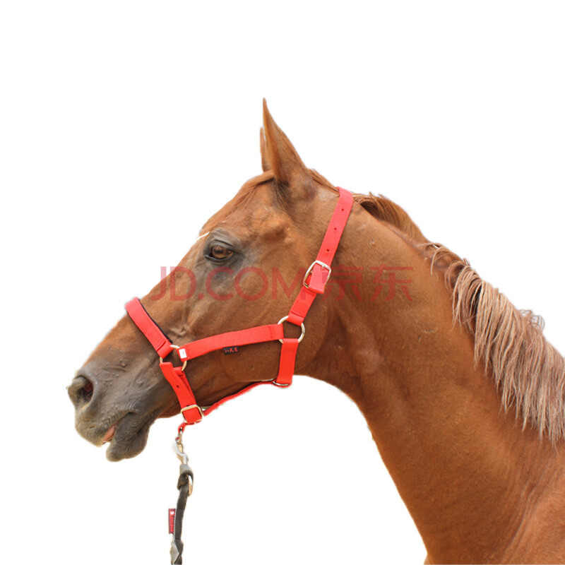 sai lv 纺织马笼头 马术牵马笼套 黑色-马笼头小号