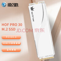 ӰۣGalaxy1TB SSD̬Ӳ M.2ӿ(NVMeЭ) PCIe4.0 HOF Pro 30ϵ