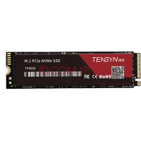 腾隐（TENGYIN）中科院出品 精选长江存储晶圆台式机笔记本SSD固态硬盘Gen4 NVMe PCIE4.0 TP4000 1TB