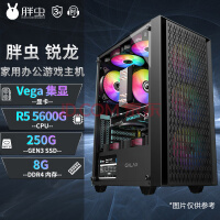 胖虫光年AMD锐龙R5 5600G/R7 5700核显高配台式机设计电脑办公家用游戏组装机DIY主机 标配版:R5 5600G集显-8G-250G