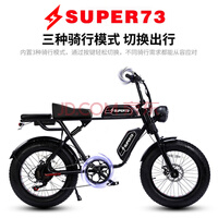 ͺsuper73 Y1¹Ƶ綯ԽҰ綯г ɽгƽ˸絥﮵ƿ 25˫-׼-Լ100-׼