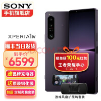 (SONY)¿ֻXperia1IV5GVLOG4K120HzOLED8Gen1 ĺϼ 12+256GB