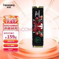 梵想（FANXIANG） SSD固态硬盘 M.2接口(NVMe协议) S500系列 原厂TLC颗粒 S500pro 长江存储颗粒 2T