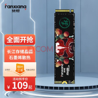 梵想（FANXIANG） SSD固态硬盘 M.2接口(NVMe协议) S500系列 优质精选颗粒 S500pro 精选长江晶圆 2T