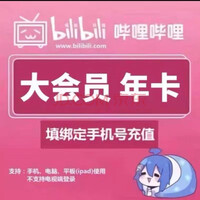 哔哩哔哩会员年卡12个月 bilibili会员B站大VIP会员1年卡 填手机号