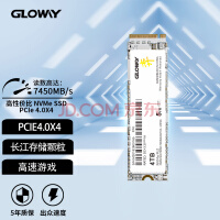 光威（Gloway）4TB SSD固态硬盘 M.2接口(NVMe协议) PCIe 4.0 弈系列 读速高达7450MB/s